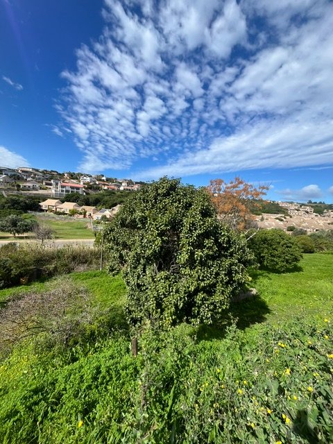  Bedroom Property for Sale in Groot Brakrivier Central Western Cape